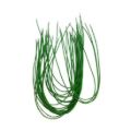 ZMW 643-GREEN